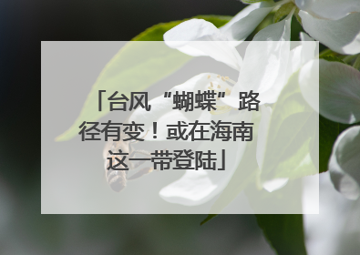 台风“蝴蝶”路径有变！或在海南这一带登陆