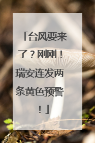 台风要来了？刚刚！瑞安连发两条黄色预警！