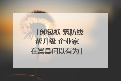 卸包袱 筑防线 帮升级 企业家在嵩县何以有为