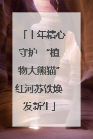 十年精心守护 “植物大熊猫”红河苏铁焕发新生