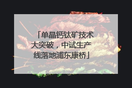单晶钙钛矿技术大突破，中试生产线落地浦东康桥