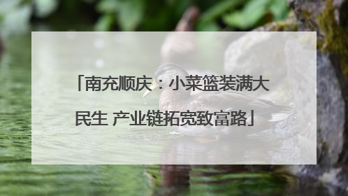 南充顺庆：小菜篮装满大民生 产业链拓宽致富路