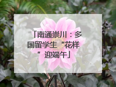 南通崇川：多国留学生“花样”迎端午