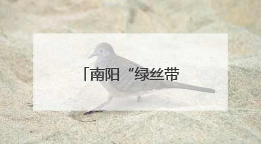 南阳“绿丝带”爱心送考活动启动 保障考生“考途”无忧