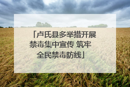 卢氏县多举措开展禁毒集中宣传 筑牢全民禁毒防线