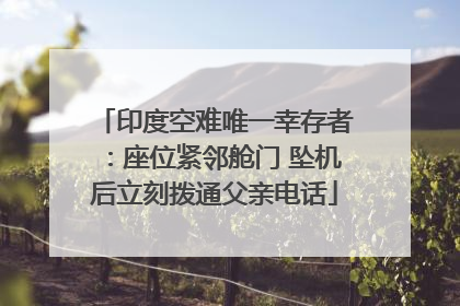 印度空难唯一幸存者：座位紧邻舱门 坠机后立刻拨通父亲电话