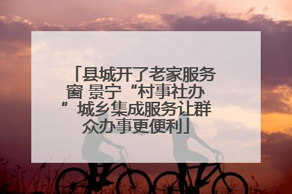 县城开了老家服务窗 景宁“村事社办”城乡集成服务让群众办事更便利