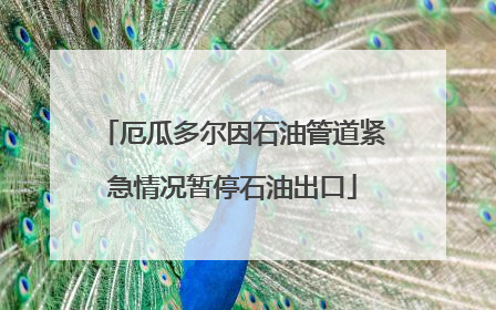 厄瓜多尔因石油管道紧急情况暂停石油出口
