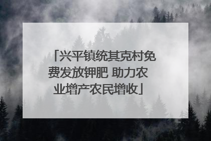 兴平镇统其克村免费发放钾肥 助力农业增产农民增收
