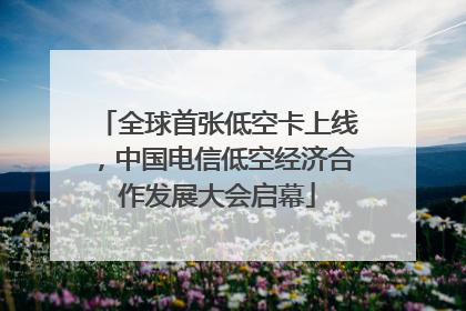 全球首张低空卡上线，中国电信低空经济合作发展大会启幕