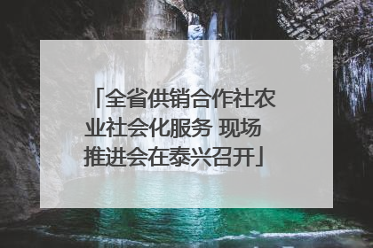全省供销合作社农业社会化服务 现场推进会在泰兴召开