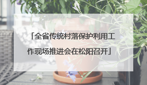 全省传统村落保护利用工作现场推进会在松阳召开