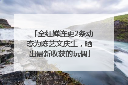 全红婵连更2条动态为陈艺文庆生，晒出最新收获的玩偶