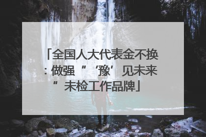 全国人大代表金不换：做强“‘豫’见未来”未检工作品牌
