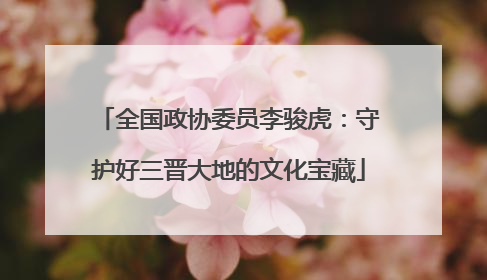 全国政协委员李骏虎：守护好三晋大地的文化宝藏