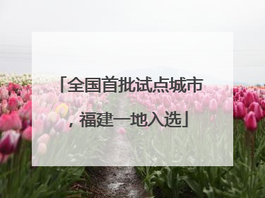 全国首批试点城市，福建一地入选