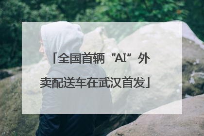 全国首辆“AI”外卖配送车在武汉首发