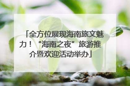全方位展现海南旅文魅力！“海南之夜”旅游推介暨欢迎活动举办