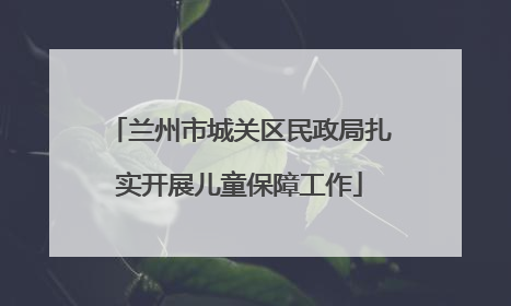 兰州市城关区民政局扎实开展儿童保障工作