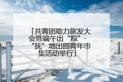 共青团助力旅发大会暨端午出“粽”·“抚”地出圈青年市集活动举行