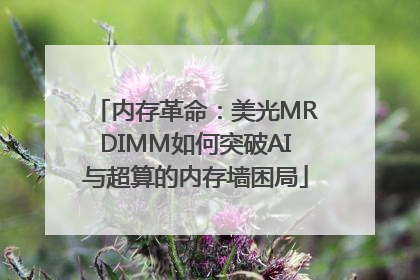 内存革命：美光MRDIMM如何突破AI与超算的内存墙困局