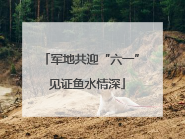 军地共迎“六一” 见证鱼水情深