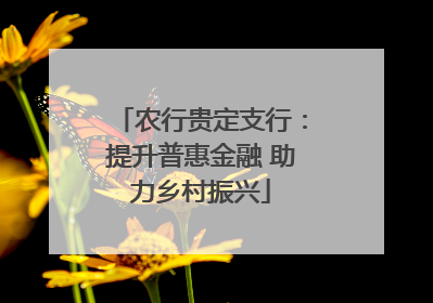 农行贵定支行：提升普惠金融 助力乡村振兴