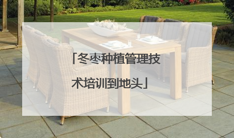 冬枣种植管理技术培训到地头