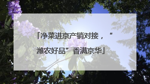 净菜进京产销对接，“潍农好品”香满京华