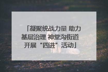 凝聚统战力量 助力基层治理 神堂沟街道开展“四进”活动