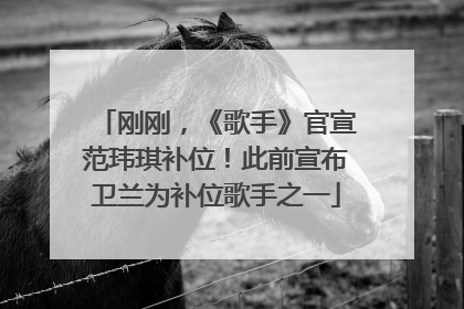 刚刚，《歌手》官宣范玮琪补位！此前宣布卫兰为补位歌手之一
