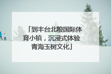 到丰台北粮国际体育小镇，沉浸式体验青海玉树文化