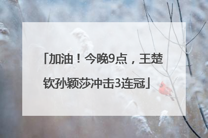 加油！今晚9点，王楚钦孙颖莎冲击3连冠