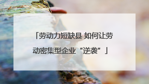 劳动力短缺县 如何让劳动密集型企业“逆袭”
