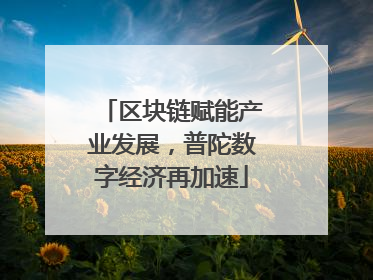 区块链赋能产业发展，普陀数字经济再加速