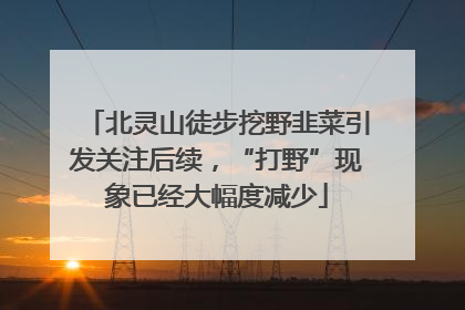北灵山徒步挖野韭菜引发关注后续，“打野”现象已经大幅度减少