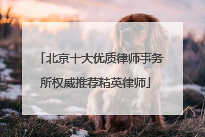 北京十大优质律师事务所权威推荐精英律师