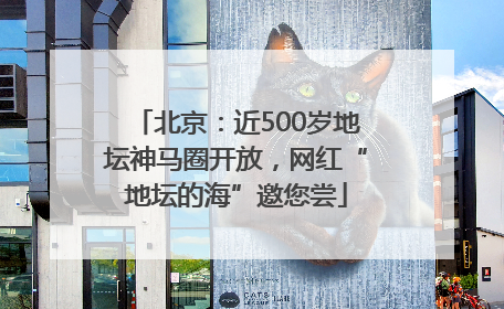 北京：近500岁地坛神马圈开放，网红“地坛的海”邀您尝