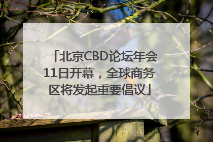 北京CBD论坛年会11日开幕，全球商务区将发起重要倡议