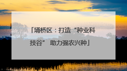埇桥区：打造“种业科技谷” 助力强农兴种