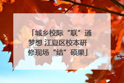 城乡校际“联”通梦想 江夏区校本研修现场“结”硕果