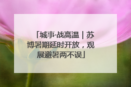 城事·战高温｜苏博暑期延时开放，观展避暑两不误