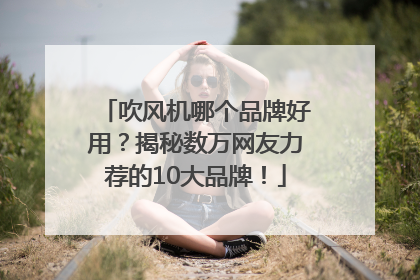 吹风机哪个品牌好用？揭秘数万网友力荐的10大品牌！