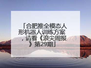 合肥推全模态人形机器人训练方案，请看《浪尖周报》第29期