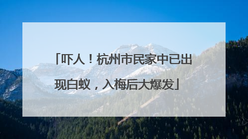吓人！杭州市民家中已出现白蚁，入梅后大爆发