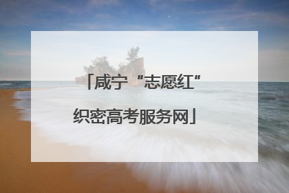 咸宁“志愿红”织密高考服务网