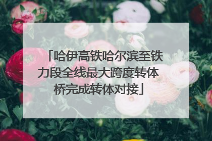 哈伊高铁哈尔滨至铁力段全线最大跨度转体桥完成转体对接