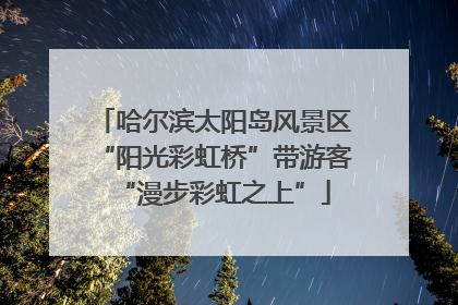 哈尔滨太阳岛风景区“阳光彩虹桥”带游客“漫步彩虹之上”