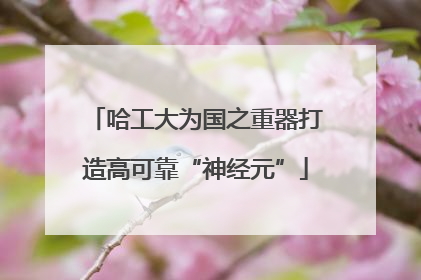 哈工大为国之重器打造高可靠“神经元”