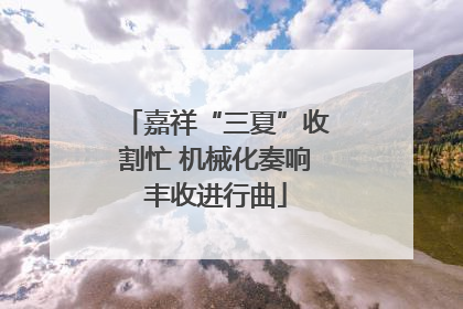 嘉祥“三夏”收割忙 机械化奏响丰收进行曲